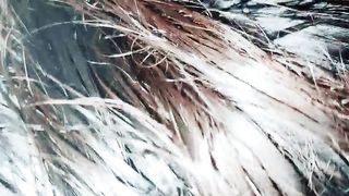 小老头探花玩弄人妻少妇白嫩身材使劲玩弄