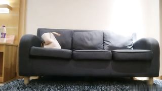 【69堂精品视频】午夜尋花約炮女仆裝初戀女神給你初戀女友感覺