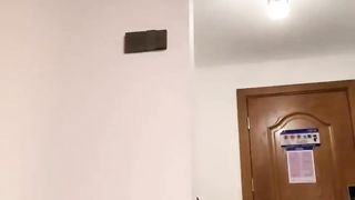 【69堂免费视频】【女王虐待】性感黑丝女王暴力踢裆踩踏