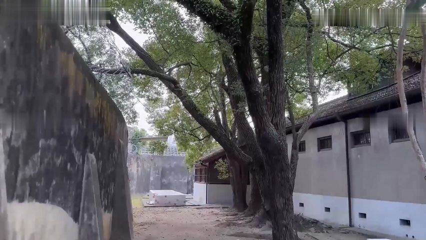 【69堂免费视频】“你一定要帮帮我老公”太太为了拯救冤狱的老公，用尽一切方法贿络典狱