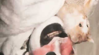 【69堂免费视频】坐在身上舌吻隔着内裤摸逼，近距离拍摄床上舔屌，侧入后入抽插猛操