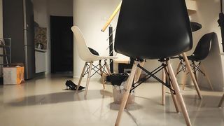 【69堂午夜视频】长腿少妇，翘起屁股舔屌口交，骑乘扶着腰抽插猛操，抬腿侧入操的少妇肚子疼