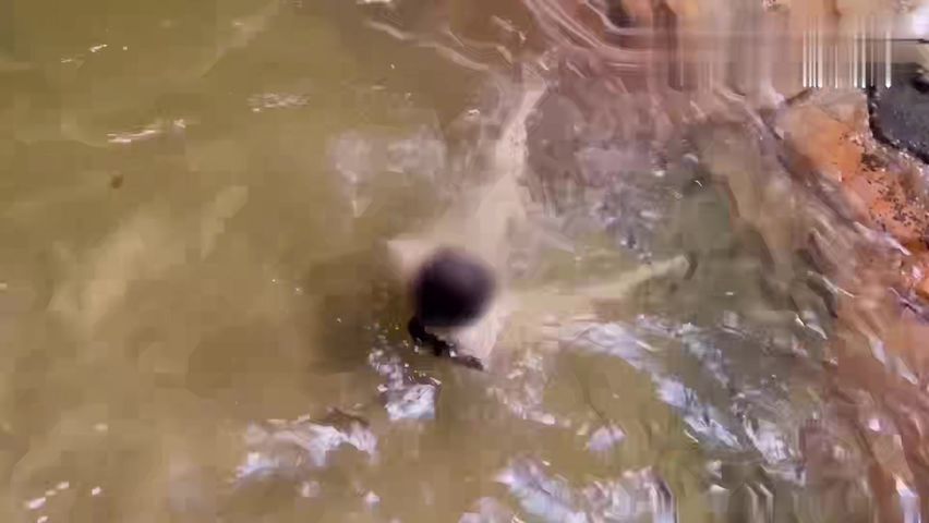 【69堂午夜视频】到瀑布下群交野战，来一场激情的精液SPA