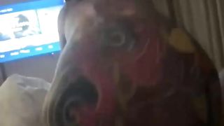 【69堂午夜视频】黑料吃瓜-快手精神小妹美美美美如人称符文大师本人极骚性瘾极强送逼炮友爆插淫荡鲍鱼