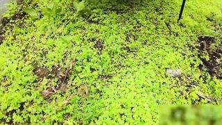 【69堂午夜视频】泳衣骚货的假日性爱实况